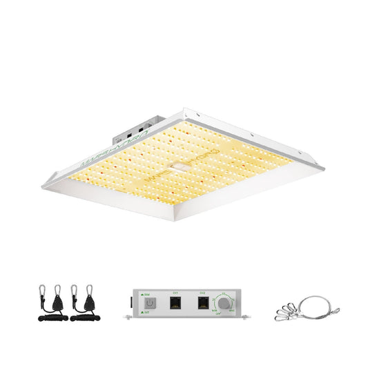 Hydro lampes de croissance grow facile